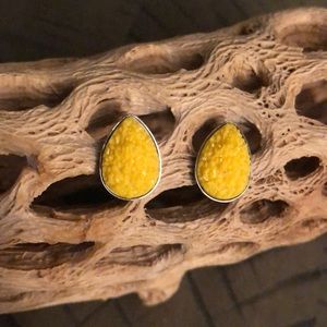 Druzy Faux Water-drop Stainless Steel Earr…